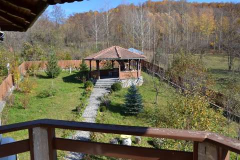 vila in provita de jos- langa campina- de bucuresti 12