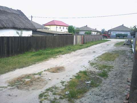 vand teren delta dunarii ( rezervatie naturala) , langa marea neagra si plaja sulina 3