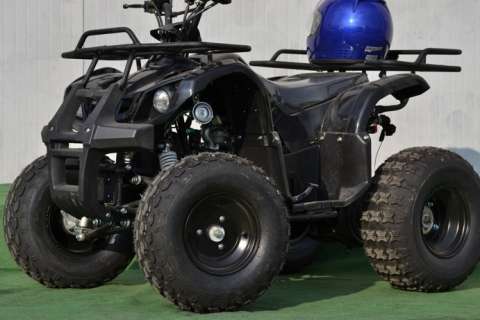 atv grizzly fussion 125 cc 2