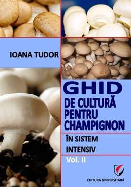 champignon in sistem intensiv 1