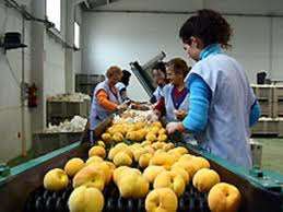 munca sezoniera Germania