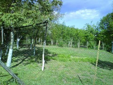 vand casa si teren foarte mare intravilan strada vrancei obor focsani foarte ieftin anunturi gratuite