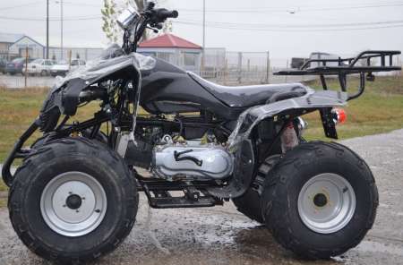 250cc Warrior  10 " Oferta sarbatorilor de iarna 