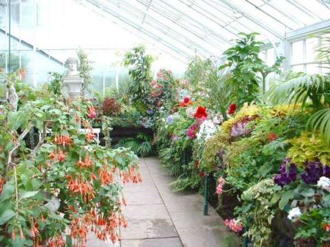 Agricultura Strainatate 