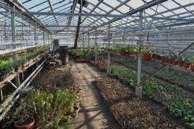 Germania - oferte noi agricultura