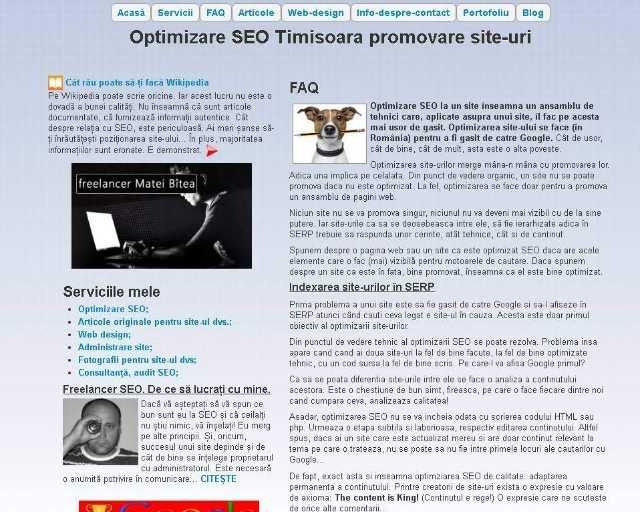 Pagini de internet, web design si SEO