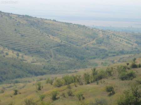 De vanzare teren agricol Valea Urloi 3. 5 ha