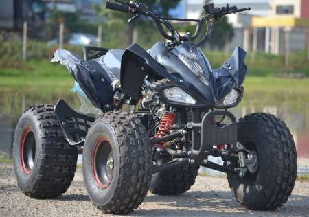 ATV Raptor 125cc modele 8RG
