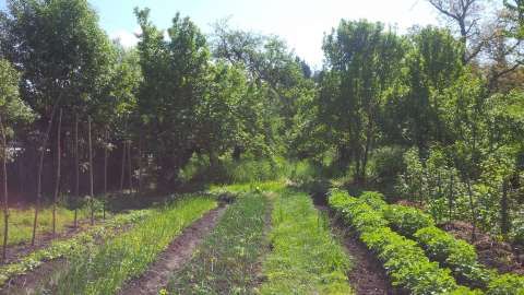 vanzare casa campulung muscel, voinesti - arges si teren 2