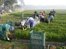 joburi agricultura Germania 