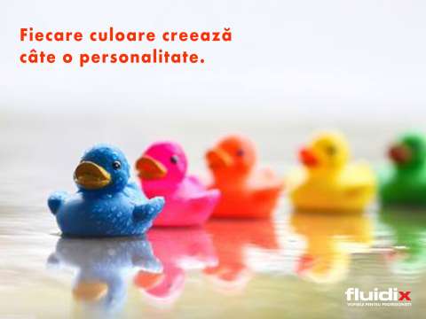 Fluidix - vopsele pentru profesionisti