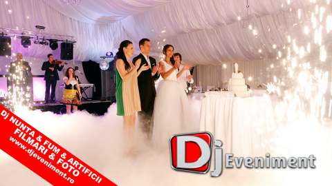 Gheata Carbonica Lugoj Dans Miri