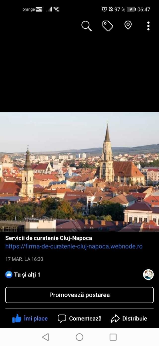 Servicii de curatenie