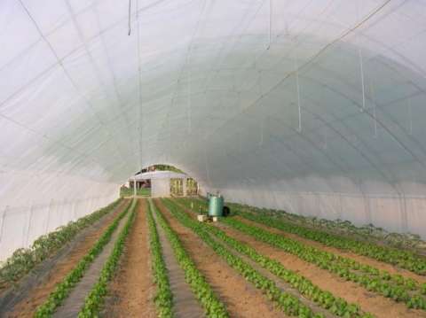 Sere de legume-fructe 1300 EUR