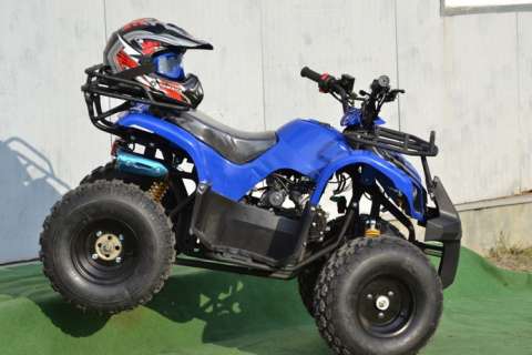 atv grizzly delta 125 cc 1