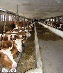 Angajam fermieri Germania