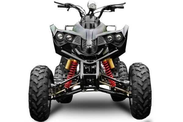 ! oferte speciale de vara ! atv nitro motors akp warrior 1