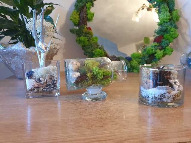 aranjament cu licheni in sticla 4