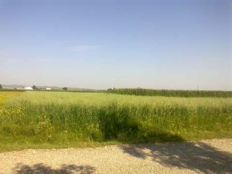 Tg.Neamt - Raucesti, teren intravilan 3600 mp