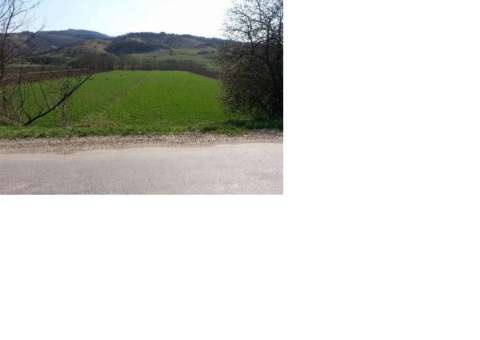 teren Nires anunturi gratuite