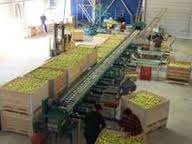 joburi NOI agricultura 