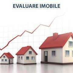 evaluator imobiliar membru anevar 1