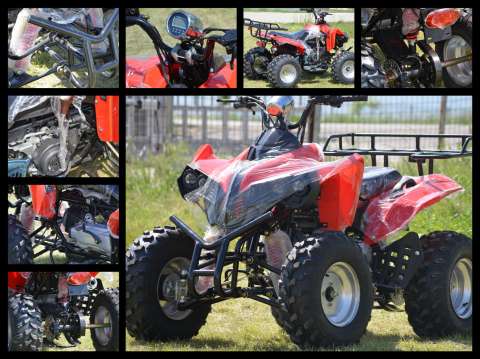 atv warrior 10 " offroad 2