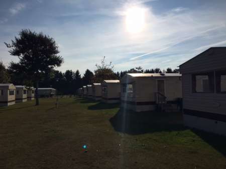 Plecari inainte de sarbatori OLANDA / medgidia