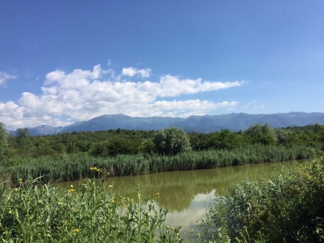 vand domeniu intravilan cu 2 lacuri de pescuit, racovita, sibiu 1