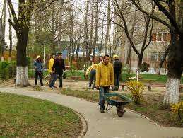 plecari urgente spatii verzi