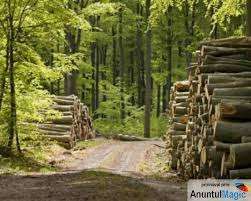 LOCURI DE MUNCA IN GERMANIA