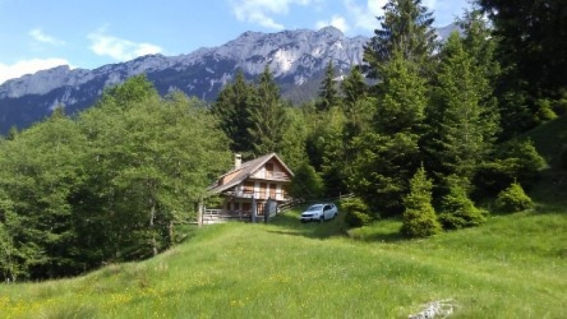 vanzare cabana plaiul foii, zarnesti brasov  315000 euro 9