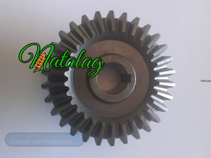 pinion presa krone 1