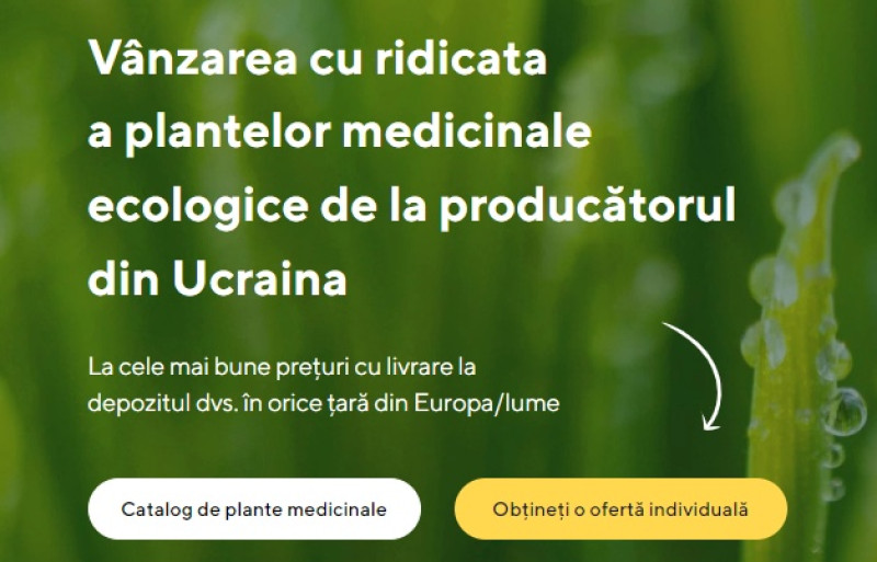 Vanzarea de plante medicinale in vrac de la producator la cele mai bune preturi