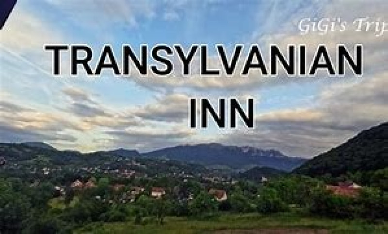 transylvanian inn vila in predelut, bran adresa: strada inginer nicolae boboc 10, predelut 507026 2