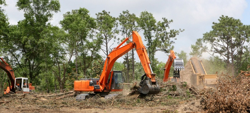 servicii defrisare terenuri 5