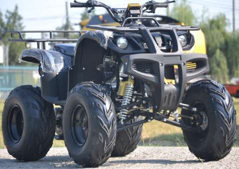 atv grizzly 10 " offroad 1