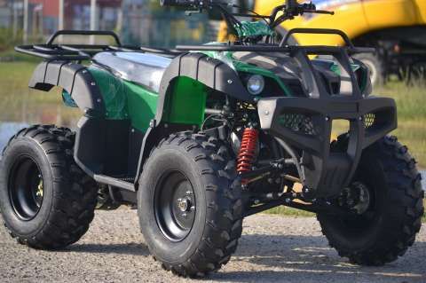 atv mega grizzly 250 cc 2