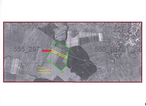 agricultural land for sale de vanzare - teren extravilan agricol 2