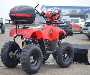 ATV Bashnee Bmw T-Rex 125Cc Livrare In 24H	 