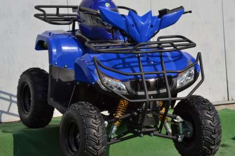 atv bmw chitter 125 cc 2