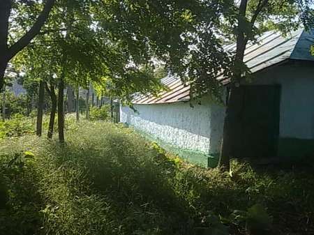 vand casa batraneasca locuibila in comuna nicoresti, sat sarbi. 5