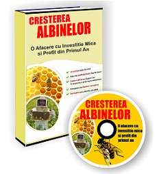 ghid afacere cu albine
