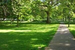 Spatii Verzi Germania 1.200 Euro