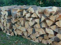 Domeniul Forestier in Germania 1400 eur