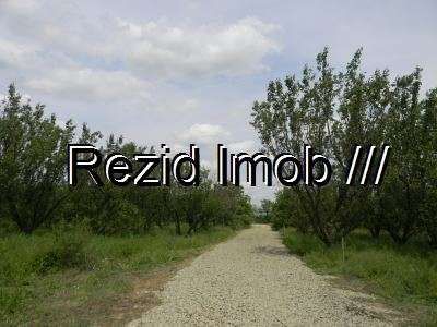 vanzare teren intravilan mp 3