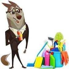 SERVICII DE CURATARE A ZONEI COMUNALE Si Ecologica, Birouri