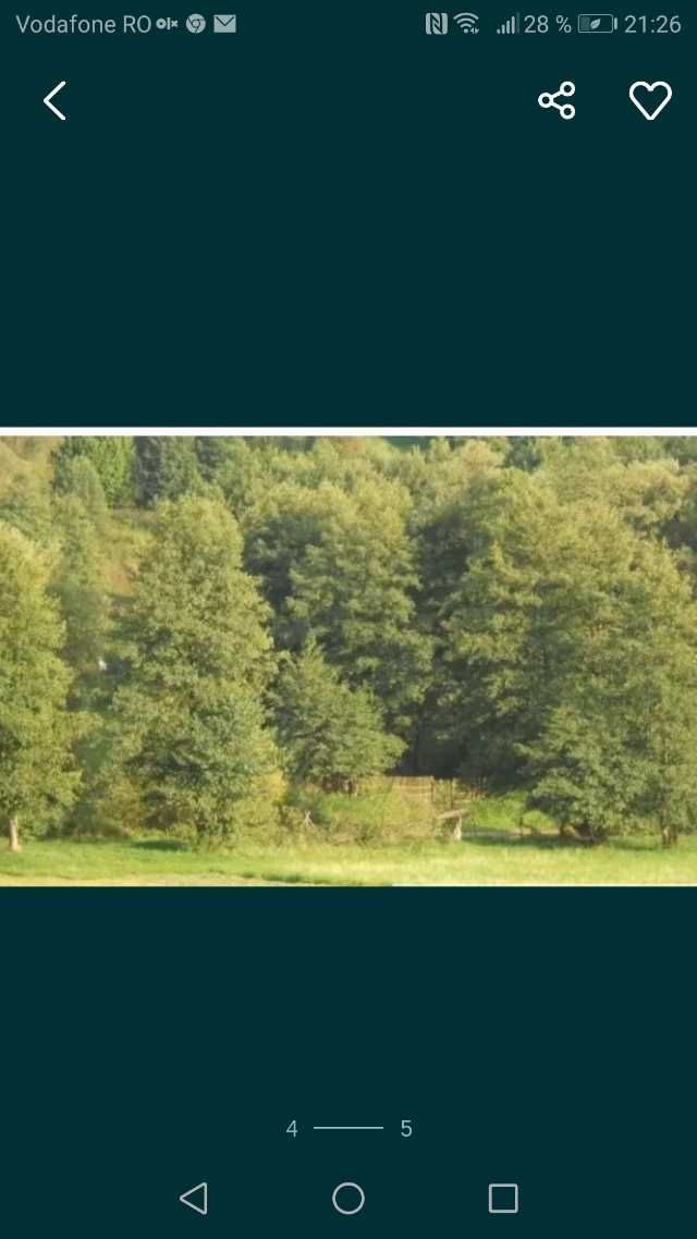 teren intravilan pentru cabana si lac peste 3