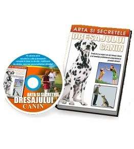 Ghid complet de Dresaj Canin
