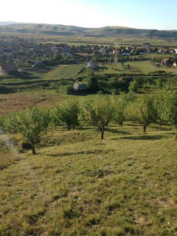 vand teren in com apahida str. cojocnei ( langa guzu) 4